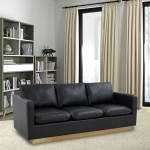 Picture of Leather Sofa with Gold Frame