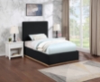 Picture of Velvet Bed 