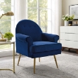 Picture of  Velvet Chair