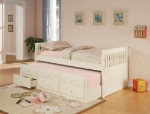 Picture of Twin Day Bed with Storage Trundle