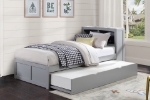 Picture of Twin Bookcase Bed