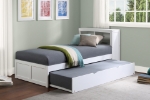 Picture of Twin Bookcase Bed