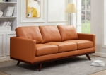 Picture of Wood Base Leather Full Size Sofa