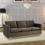 Picture of Gold Base Upholstered Velvet Full Size Sofa