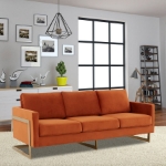 Picture of Gold Frame Velvet Full Size Sofa