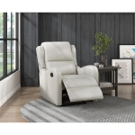 Picture of Reclining Chair