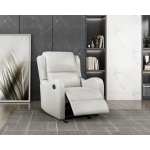 Picture of Reclining Chair