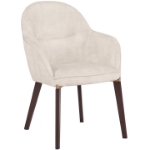 Picture of Dining Chair Upholstered in Leather Velvet and Powder Coated Legs