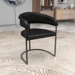 Picture of Dining Chair with Padded Seat and Powder-Coated Iron Frame