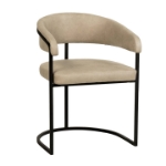 Picture of Dining Chair with Padded Seat and Powder-Coated Iron Frame