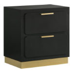 Picture of 2-Drawer White/Black Nightstand