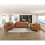 Picture of Brown, Chocolate, Dark gray Leather Sofa