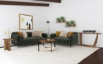 Picture of Jade Green 2pc Living Room Set